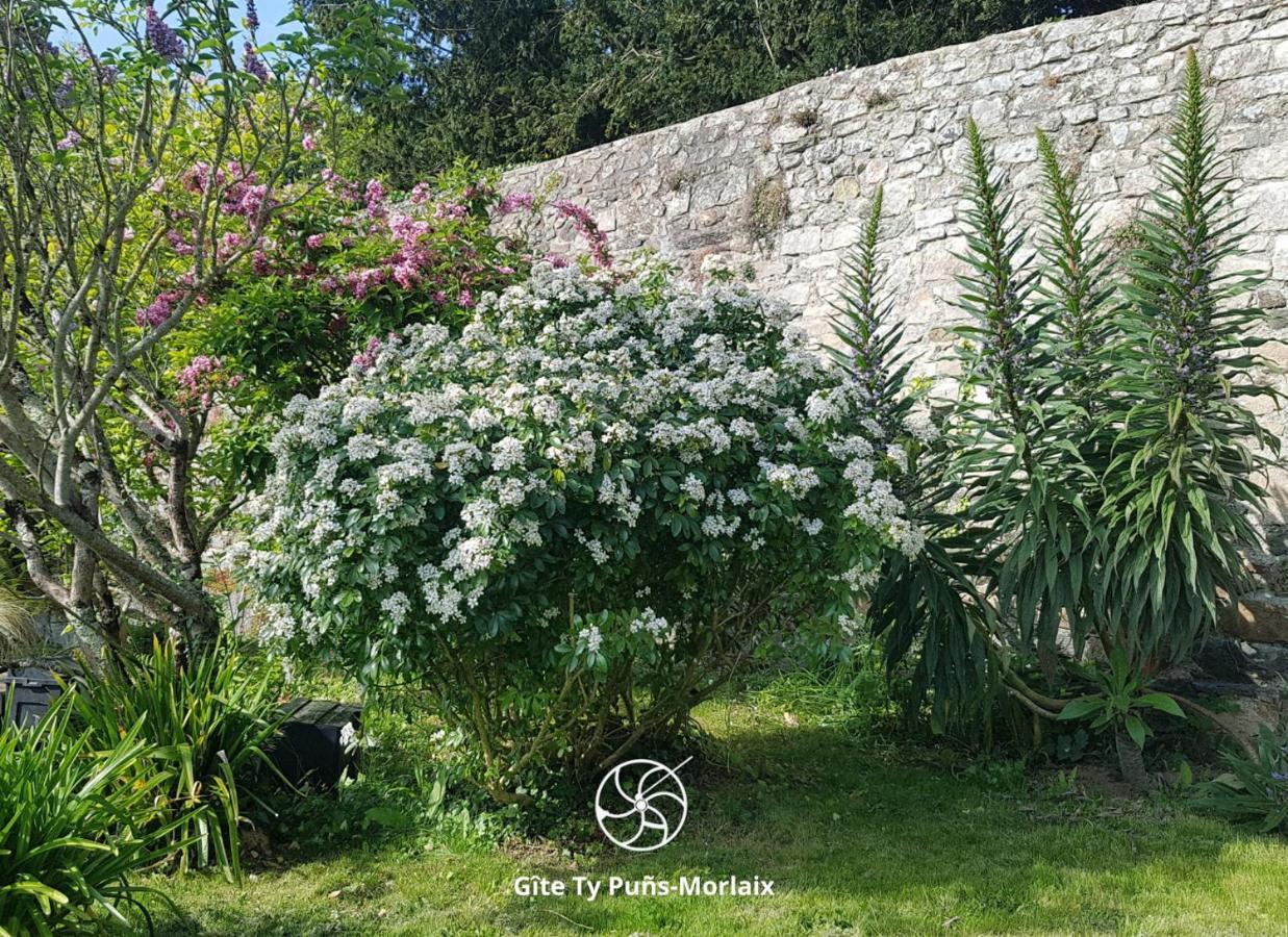 Ty Puns - Cosy Et Calme Avec Et Jardin Appartement